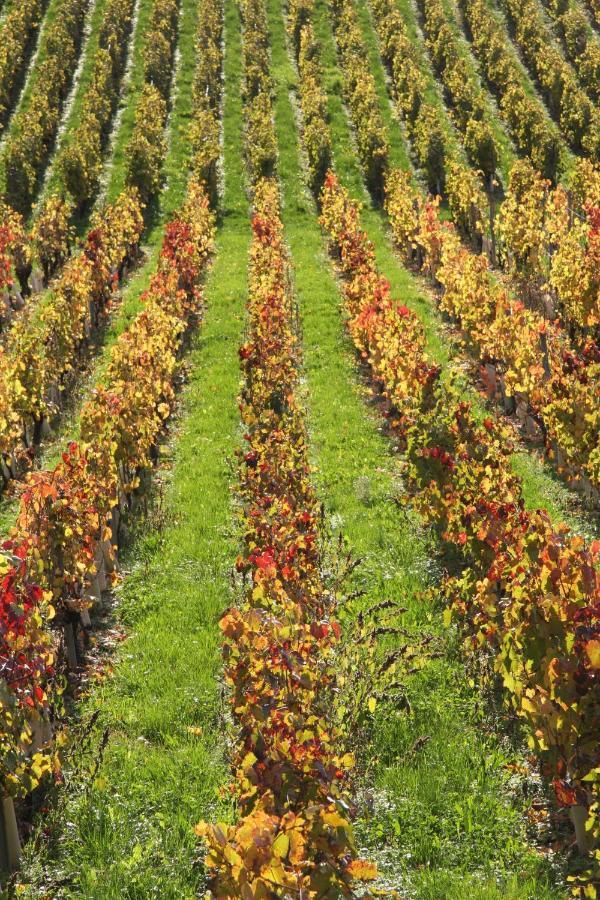 Chateau La Violette Les Marches ภายนอก รูปภาพ
